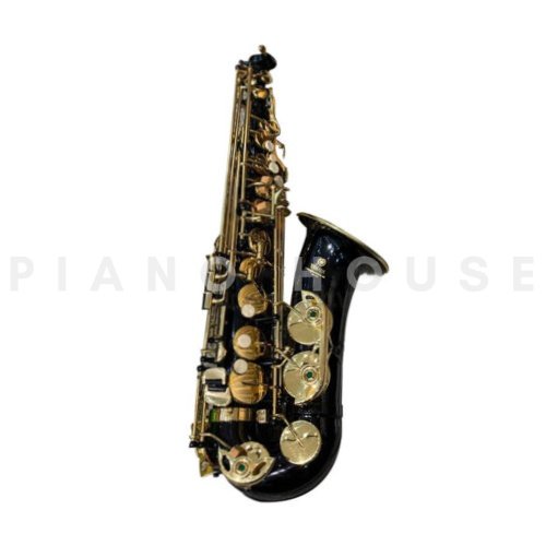Hình ảnh chi tiết Kèn Saxophone Alto AS100BK4 góc chụp 2